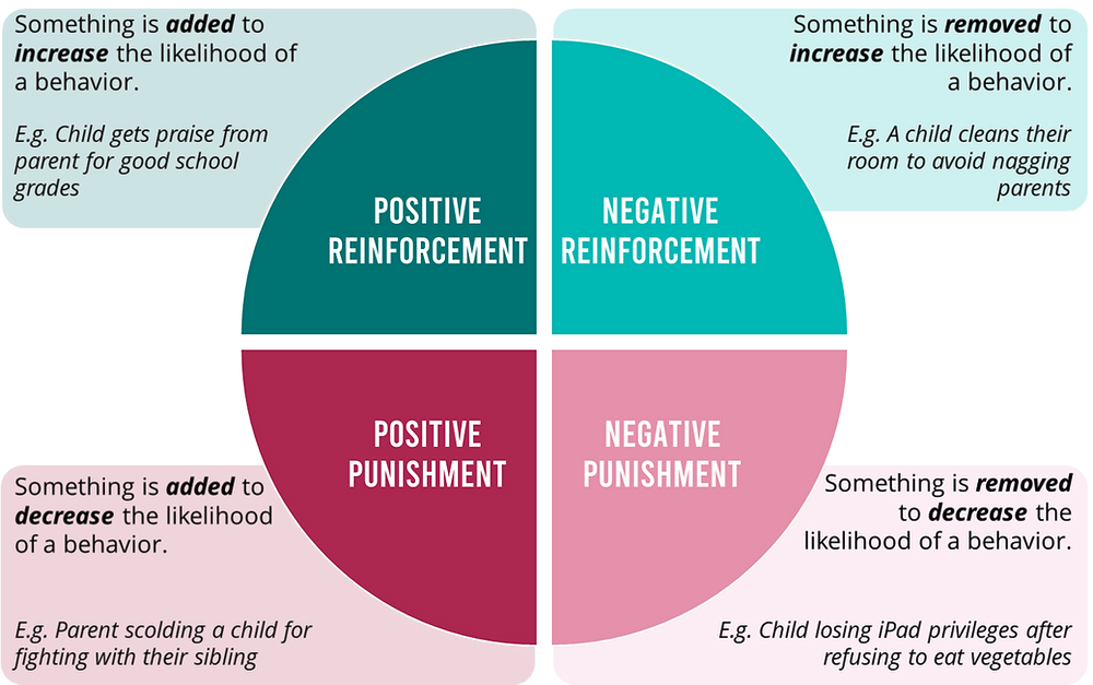 Diagram showing four quadrants of operant conditioning used in dog training: positive reinforcement, negative reinforcement, positive punishment, and negative punishment, with clear examples for each.