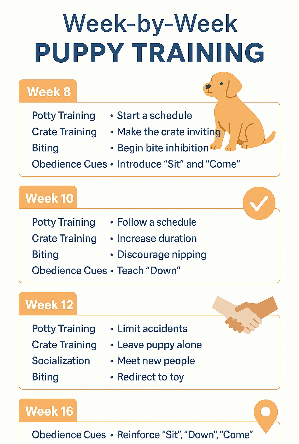 Infographic showing puppy training milestones and activities week by week from 8 to 16 weeks, including crate training, potty schedule, and socialization goals.