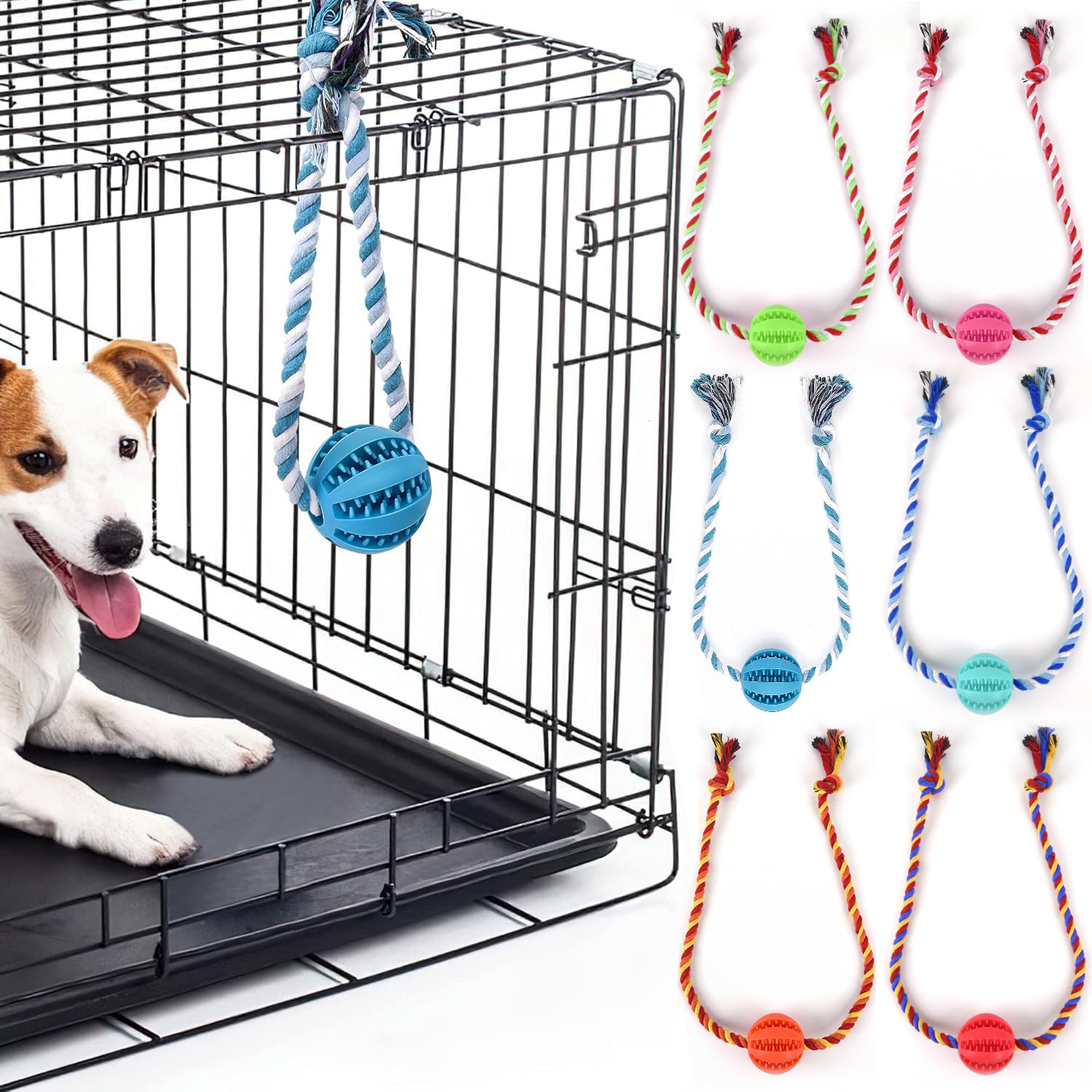 Overhead view of essential puppy training tools including clicker, treats, leash, crate and toys arranged flat‑lay style.