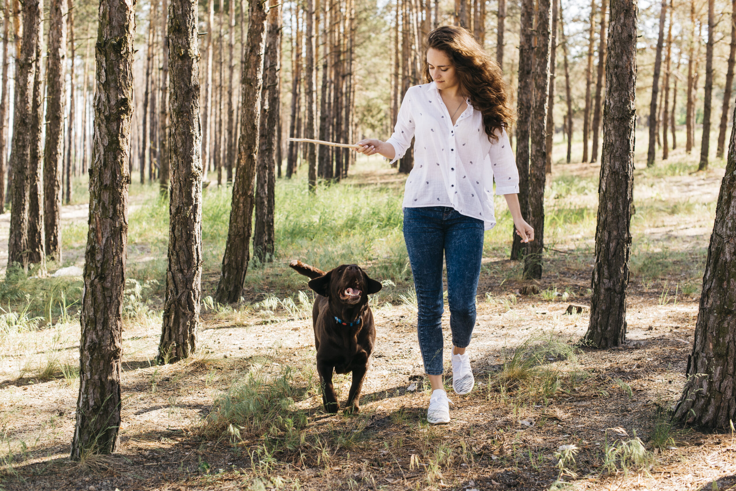 Puppy walking on a loose leash beside its owner outdoors.